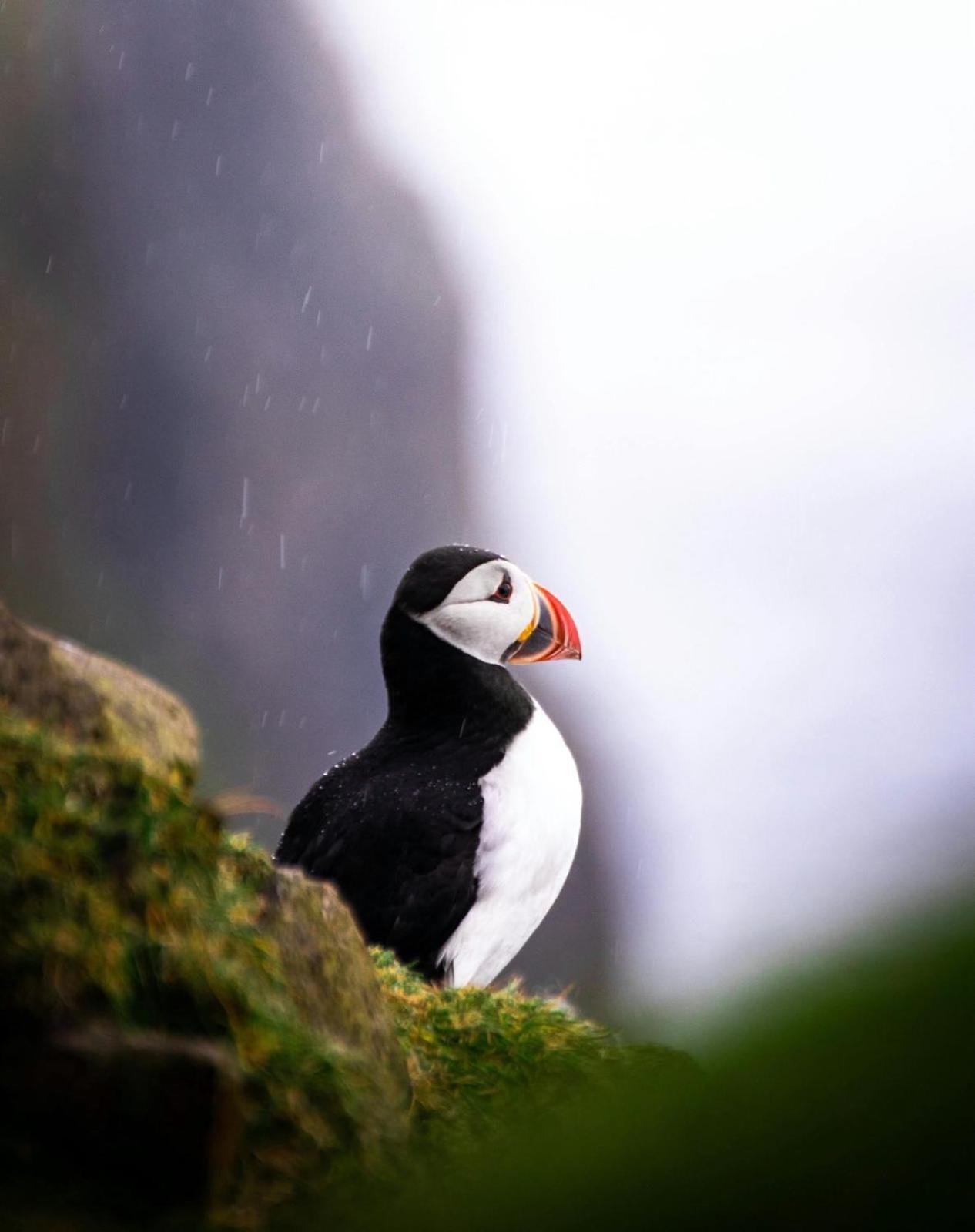 Puffin Rooms Lisdoonvarna Zewnętrze zdjęcie